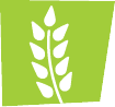 Wheat Free
